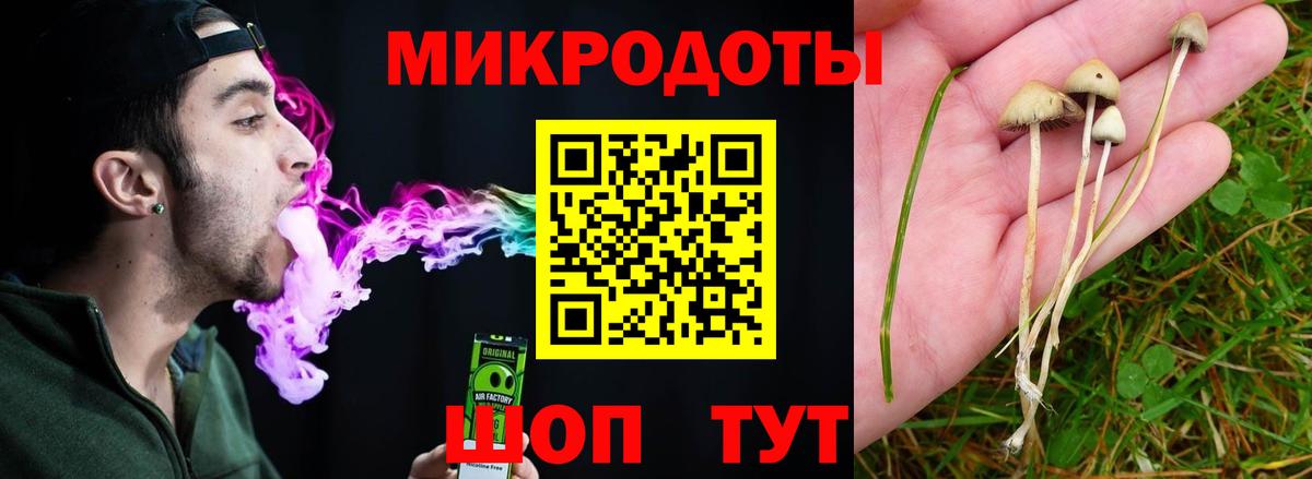 Галлюциногенные грибы Magic Shrooms Фрязино
